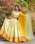 Premium Banarasi Lehenga for Women | Fully Stitched | 6 Meter Flair