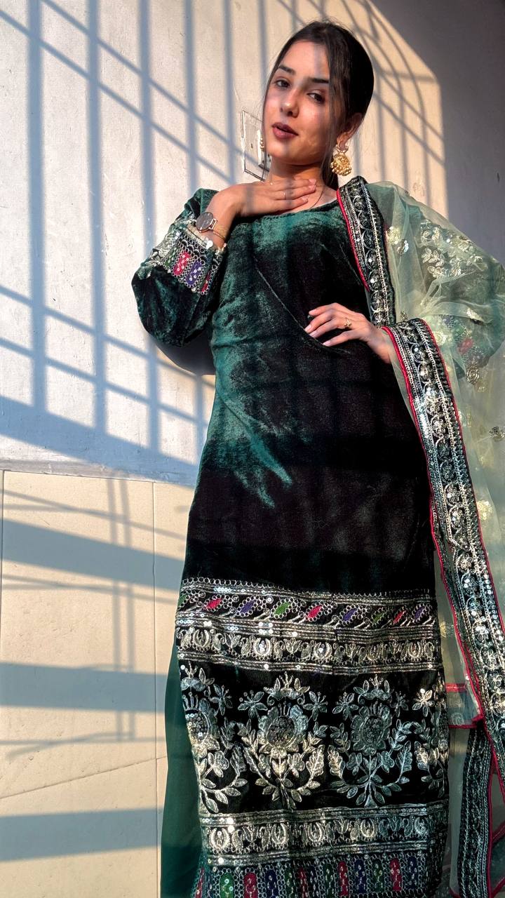 New Launch: Party Wear Viscose Velvet &amp; Net Designer Set