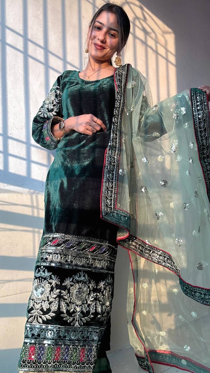 New Launch: Party Wear Viscose Velvet &amp; Net Designer Set